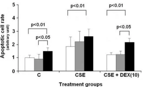 Fig 6.: In siRNA treated cells, apoptosis significantly increased in all groups  (Control, CSE alone and CSE + DEX (10))