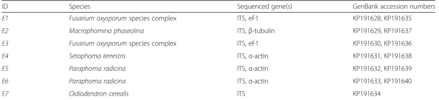 Table 2 Identified glucosinolates found in the horseradish extract. These compounds were subjected to fungal decomposition by horseradish endophytes and soil fungi