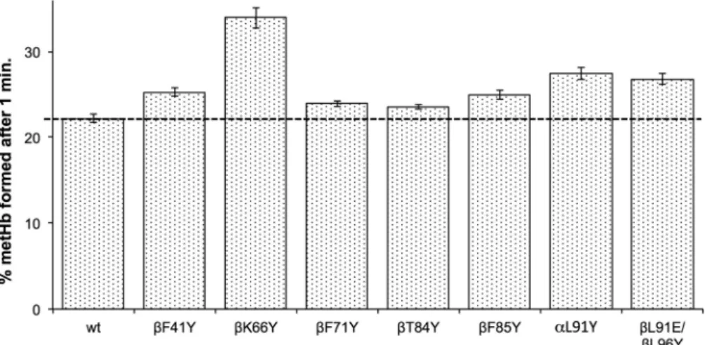 Fig. 4. Enhanced rate of ascorbate reduction of ferric heme in βT84Y.
