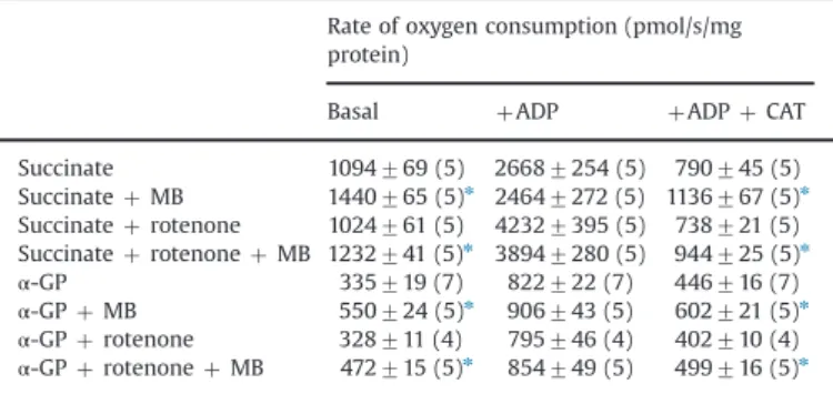 Fig. 1. The effect of MB on the rate of oxygen consumption in glutamate plus malate-supported mitochondria