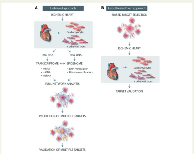 Figure 2 Schematic representation of unbiased experimental omics approach (A) or hypothesis-driven traditional approach (B).