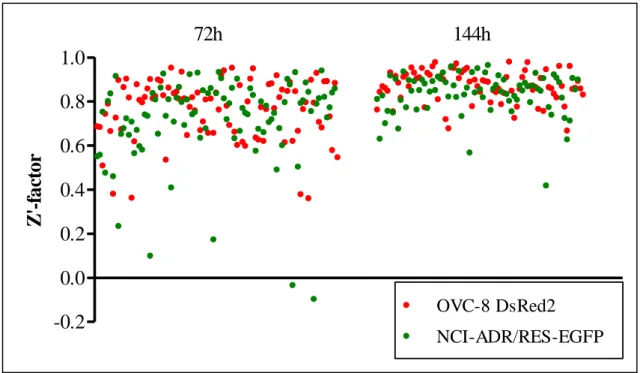 Figure 16. Z’-factors per experiment for OVC-8 DsRed2 (red dots) and NCI/ADR-RES eGFP  (green dots) measured at 72 h and at 144 h