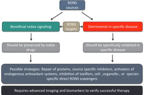 Fig. 1.1. The main concept of our biomedical approach and working scheme within the EU-ROS consortium as explained in detail previously [32].