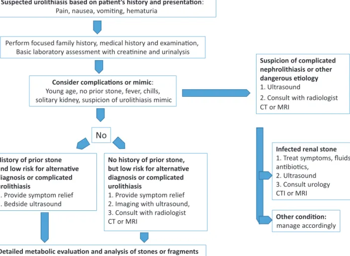 FIGURE 1. The urolithiasis diagnostic pathway (based on [5 &amp; ,23 &amp; ,25,29]).