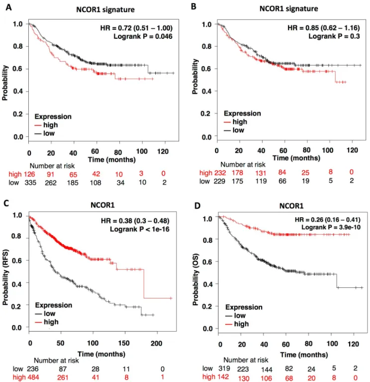 Fig 5. NCOR1 expression profile also predict outcome in Lung Adenocarcinoma patients (LUAD)