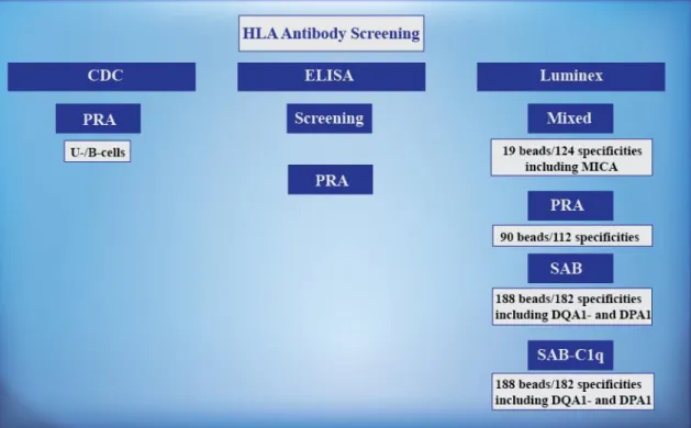 Figure 9. Different HLA antibody screening methodologies. For antibody screening,  cell-based  assays,  such  as  CDC  and  solid-phase  assays,  such  as  ELISA  and  Luminex,  are  available