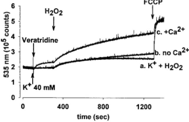 Table 2. Statistical analysis of data on fluorescence of JC-1 at 535 nm in the presence of veratridine and H 2 O 2