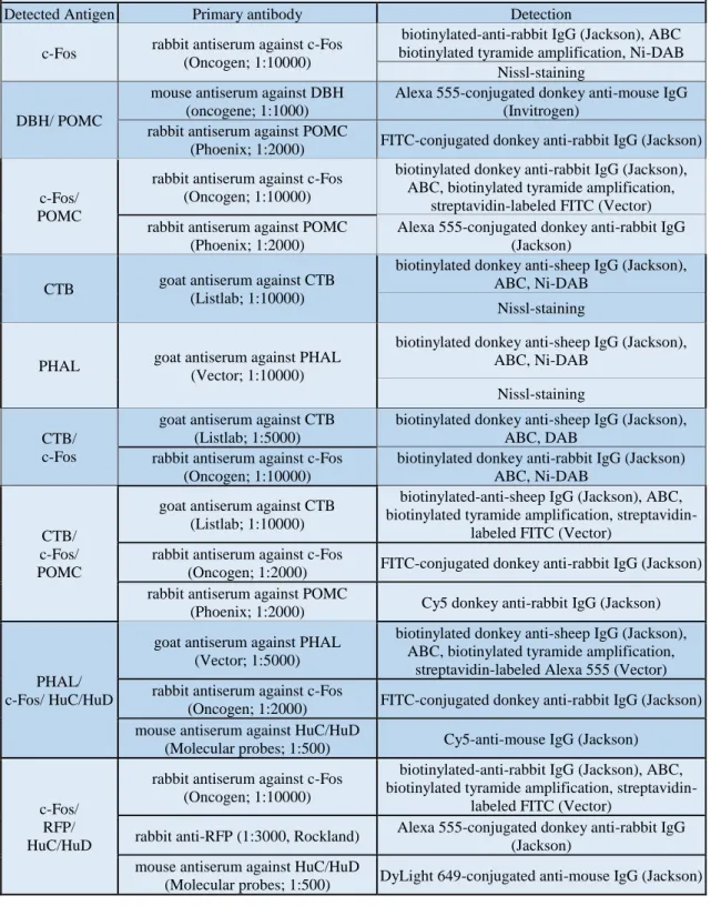 Table 1 Summary of antibodies, fluorochromes and chromogens used for immunohistochemical studies
