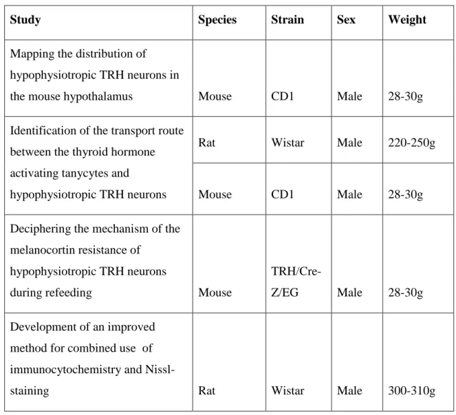 Table 1. Summary of animals used in different experiments 