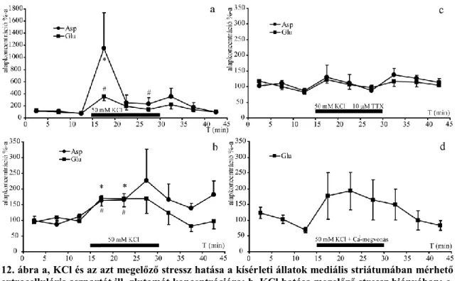 12. ábra a, KCl és az azt megelőző stressz hatása a kísérleti állatok mediális striátumában mérhető  extracelluláris aszpartát ill