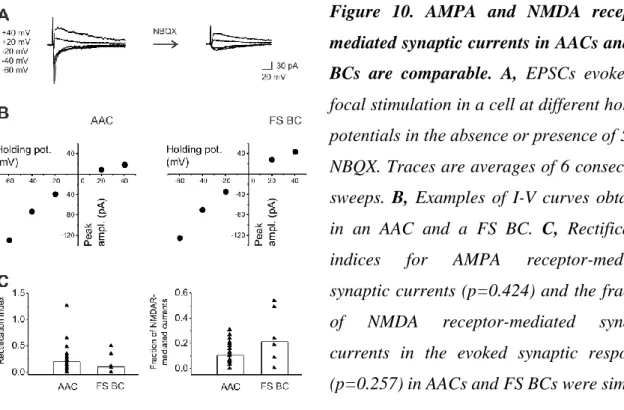 Figure  10.  AMPA  and  NMDA  receptor- receptor-mediated synaptic currents in AACs and FS  BCs  are  comparable