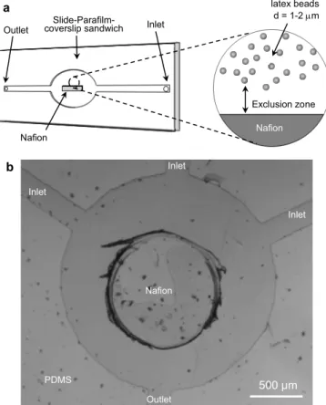 Figure 1. Constructs of the microfluidic devices. (a) Schematic diagram of the Parafilm-based  microfluidic device; (b) Brightfield microscopic image of the PDMS-based microfluidic  device