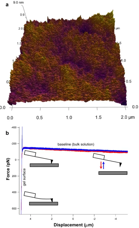 Figure 6. Investigation of the Nafion surface with AFM. (a) Height-mode AFM image of a  Nafion surface in distilled water; (b) Force spectrum recorded by tapping the Nafion  surface upon approach (red trace) from bulk solution (MilliQ water) and retraction