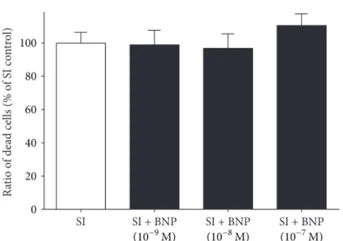 Figure 7: Effect of SNAP on cell viability of hESC-derived car- car-diomyocytes (6 + 24 days of differentiation)