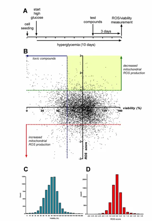 Fig.  5.  Cell-based  screening  for  compounds  that  decrease  the  mitochondrial  ROS  production in endothelial cells