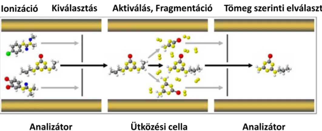 MS-MS módban  (3. ábra)  a  kvadrupól  analizátorral  tetszőlegesen  kiválasztott  ionizálódott molekula jut csak az ütközési cellába, ahol inert gáz (argon) hatására  