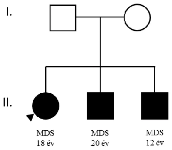 12. ábra: Az ábrán látható család második generációjában  (II.) mindhárom gyermekben MDS fenotípusa jelent meg