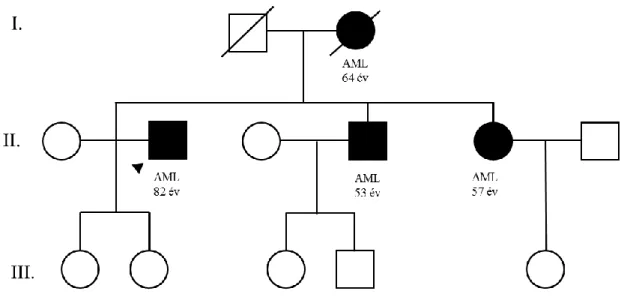 13. ábra: Az ábrán látható családban az AML fenotípusa jelent meg két generáción  keresztül