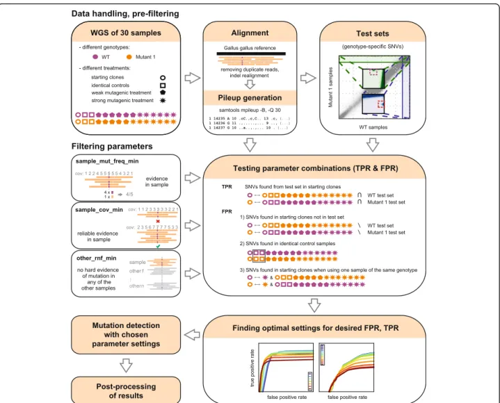 Fig. 1 An overview of the testing and optimisation of the mutation detection method