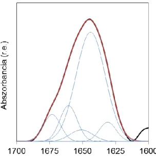 21. ábra A Ca 2+ -hiányos Gad m 1 parvalbumin IR spektruma (közel  atmoszférikus nyomás, 28 °C) és ennek Gauss komponensei (a dekonvolvált 