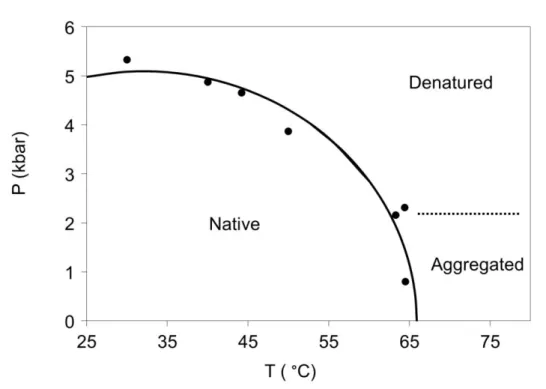 Figure 6. Pressure-temperature phase diagram of Rv3221c from Mycobacterium  tuberculosis 