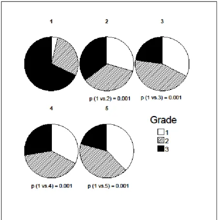              6. ábra: Grade megoszlása a különböző életkori csoportokban 