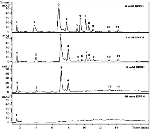 Figure 7. The HPLC–UV chromatograms of Solanum melongena extract and reaction products  after treated with increasing concentrations of DPPH recorded at 280 nm