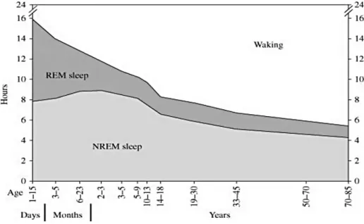 Figure  1.  Sleep  duration,  REM  and  NREM  sleep  as  a  function  of  age  (Huber  &amp;  Tononi,  2009,  p.471)