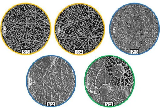 Figure 5 SEM images of the papverine-HCl-loaded electrospun samples as a  function of HPC:PVA mass ratio 5:5 (A), 6:4 (B), 7:3 (C), 8:2 (D), 9:1 (E) 