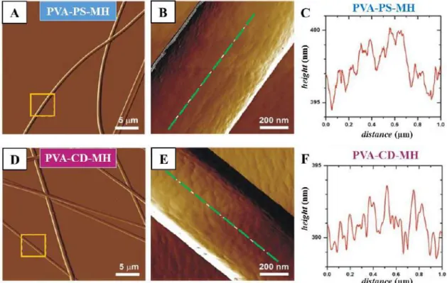 Figure 18 AFM amplitude-contrast images of poly(vinyl alcohol)-based,  metoclopramide-HCl-loaded, either containing polysorbate 80 (PVA-PS-MH) (A, B, C) 