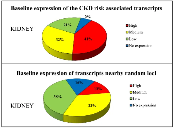 Figure 3. Baseline expression of the CKD risk loci associated transcripts in  kidney compared to transcripts around random loci 