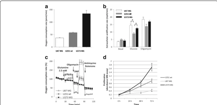 Fig. 1 Oxygen consumption, extracellular acidification rate and glutamine oxidation differences were measured by Seahorse in U87 MG, U251 wt, U373 MG glioma cell lines using D5030 medium