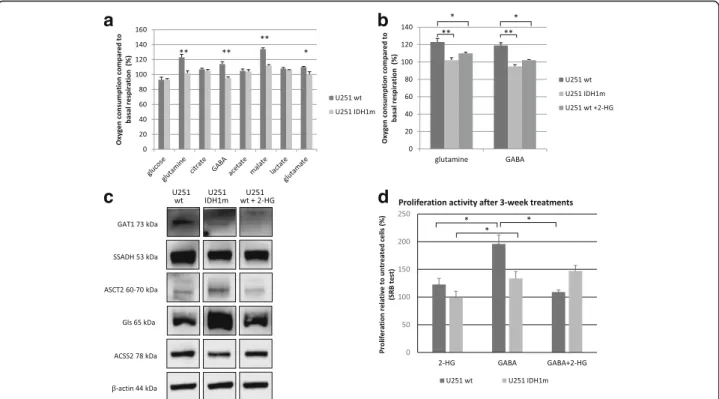 Fig. 4 Energy substrate oxidation differences in wt, IDH1m and 2-HG-treated U251 wt cells