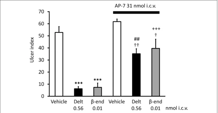 Fig. 1. The effect of AP-7 (DL-2-Amino-7-phosphonoheptanoic acid, 31 nmol/rat i.c.v.) on the gastroprotective effect of deltorphin II (Delt, 0.56 nmol/rat i.c.v.) and β-endorphin (β-end, 0.01 nmol/rat i.c.v.)