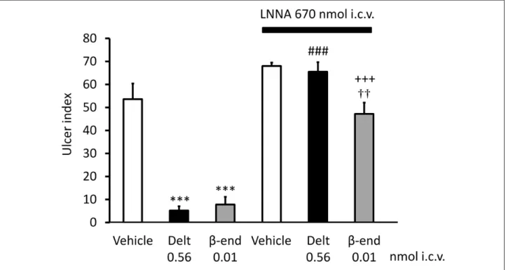 Fig. 4. The inhibitory effect of N G -nitro-L-arginine (LNNA, 670 nmol i.c.v.) on the gastroprotective effect of deltorphin II (Delt, 0.56 nmol/rat i.c.v.) and  β -endorphin ( β -end, 0.01 nmol/rat i.c.v.)