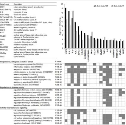 Fig 1. Functional classification of genes induced in CEFs after infection with wild-type S 