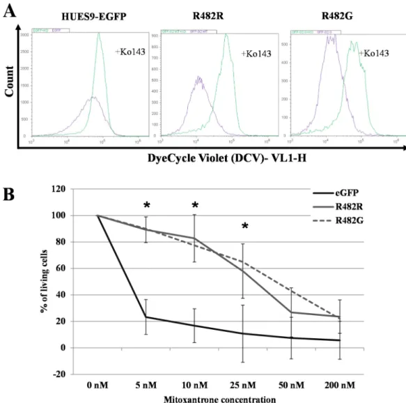 Fig 4. Functional analysis of ABCG2 in EGFP-HUES9 (control) and GFP-ABCG2 expressing cells (A) Examination of the transport function of the GFP-ABCG2 protein variants in HUES9 cells by measuring DCV uptake