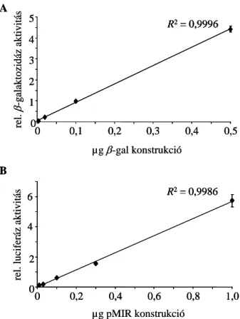 19. ábra.  β-galaktozidáz  és  luciferáz  gént  tartalmazó  konstrukciók  hígítási  sora