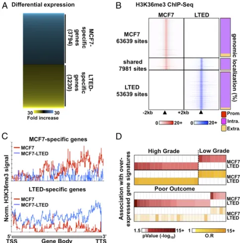 Fig. 1. Distinct transcriptional programs typify ET response. (A) Microarray-based expression pro ﬁ ling in ET-resistant LTED and -responsive MCF7 breast cancer cells reveals distinct transcriptional pro ﬁ les