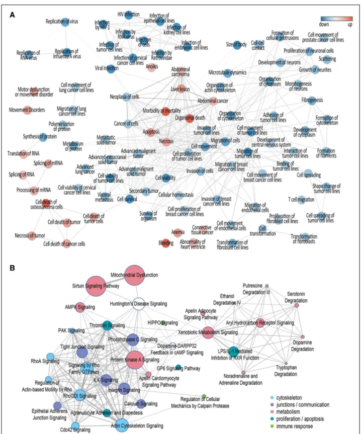 Figure 3. Network of enriched diseases and biofunction identified by transcriptomics and Network visualization of enriched  vasculopathy-associated canonical pathways.