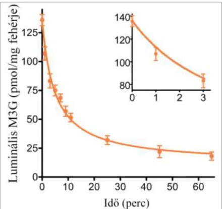 7. ábra: Az M3G leadásának időfüggése patkány máj mikroszómában 