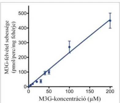 8. ábra: A mikroszomális M3G-transzport koncentrációfüggése 