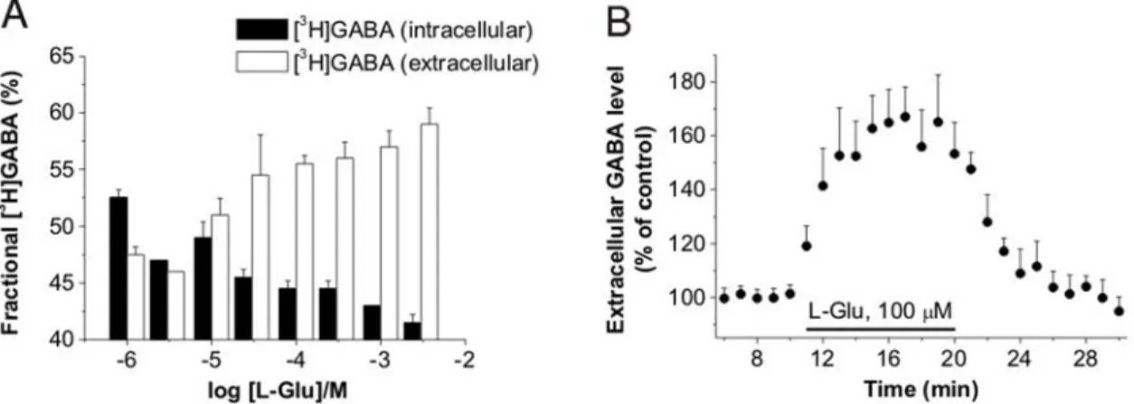 Figure 4. Glu-induced GABA release is not mediated by vesicular release. (A) Elevation of [GABA] o in acute rat hippocampal slices in control conditions (n = 6) and in the presence of glutamate receptor antagonists (n = 7; P = 0.014; 128.5613.4% of pre-sti