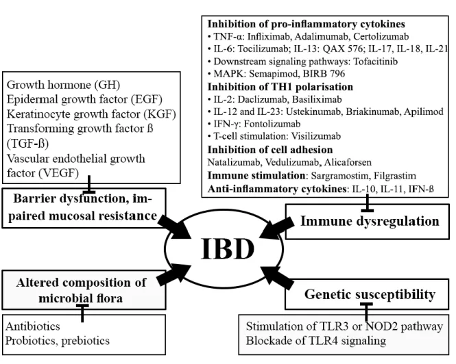 Fig. 1. Therapeutic approaches in IBD targeting different factors (genetic variations, immune  dysregulation,  barrier  dysfunction  and  intestinal  microbiota  alterations),  that  are  involved in the pathomechanism of IBD according to the recent consen