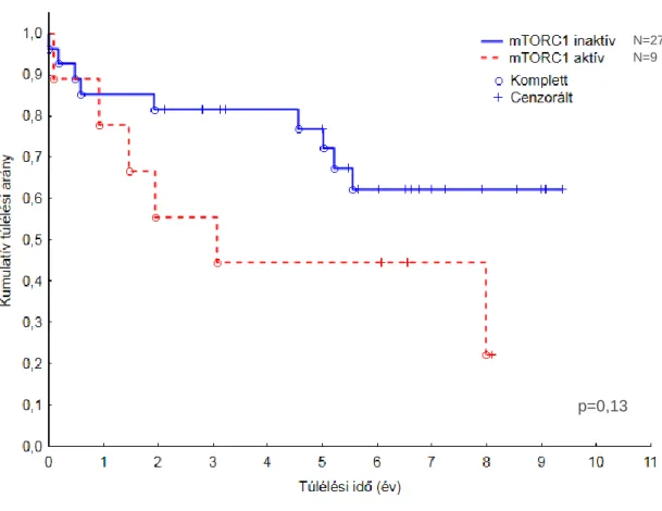 12. ábra: Kaplan-Meier túlélési analízis grafikonja, az mTORC1 aktivitást mutató és  mTORC1 inaktív betegcsoport összehasonlítása 