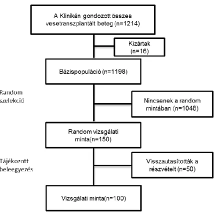 7. ábra A betegek kiválasztásának folyamatábrája 