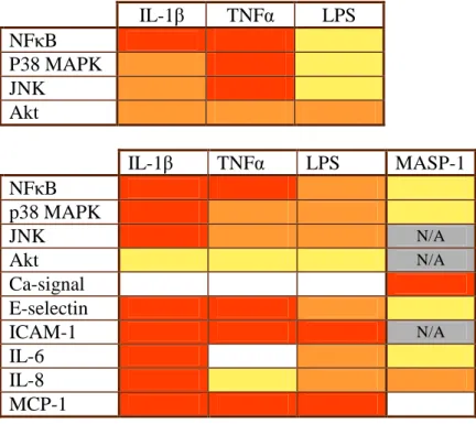 Figure  1.  Pattern  of  the  kinetics  (upper  panel)  and  maximal  (lower  panel)  responses  induced  by  LPS,  TNF α ααα ,  IL-1 ββββ   and  MASP-1