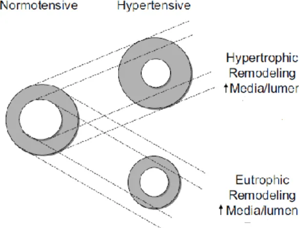 Figure from (Schiffrin, 2004) 