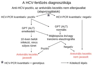 1. ábra A hepatitis C-vírus- (HCV-) fertőzés diagnosztikája
