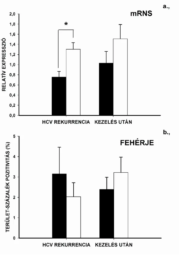 9. ábra- CLDN-1 mRNS és fehérje expresszió májátültetés után, HCV rekurrencia idején és az egy  éves antiviralis kezelés befejezésekor
